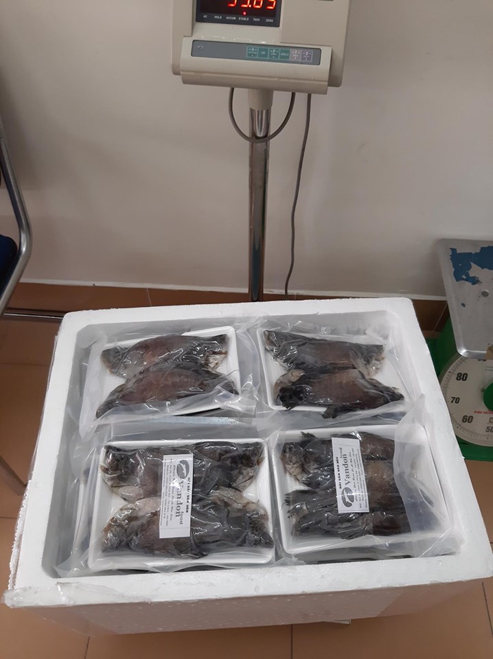 gửi hàng đi Nhật Bản nhanh chóng