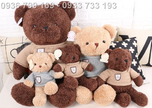 Vận chuyển gấu bông quốc tế giá rẻ, an toàn