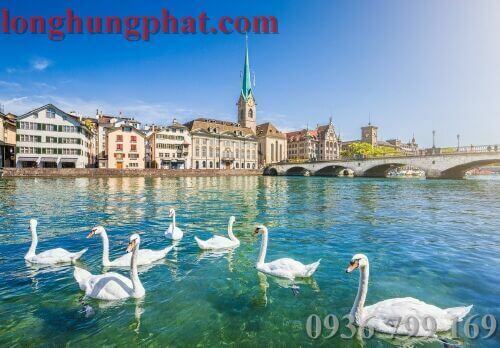 Chuyển hàng đi thụy sĩ giá rẻ