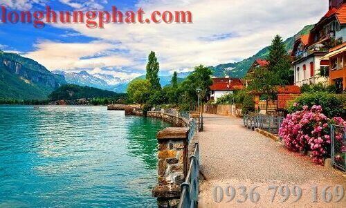 Chuyển hàng đi thụy sĩ